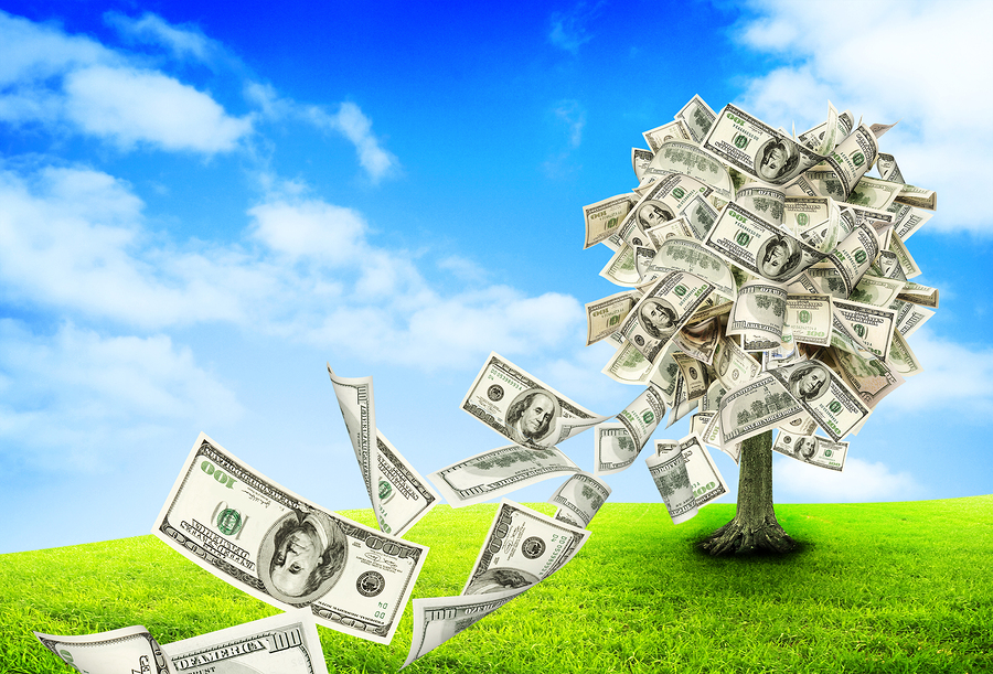 Money tree growing in the middle of green meadow