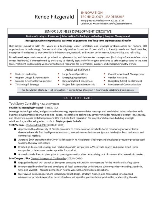 Executive resume example 2022